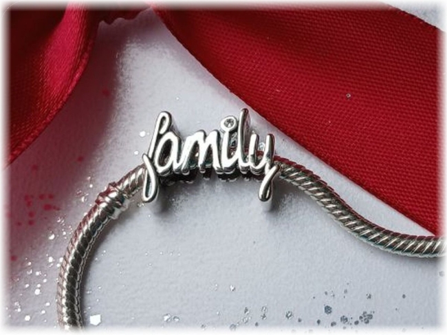 Charm 925er Sterling Silber Stecker Schriftzug Family mit Zirkonia 