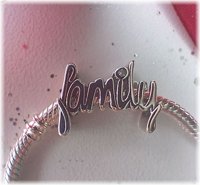 Charm 925er Sterling Silber Stecker Schriftzug Family mit Zirkonia 
